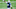 Colts Colts