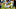 Roderic Teamer, Indianapolis Colts Roderic Teamer, Indianapolis Colts