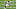 Corey Davis, Colts Corey Davis, Colts