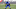 Colts Colts