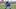 Colts Colts
