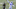 Shawn Davis, Florida Gators, Colts Shawn Davis, Florida Gators, Colts