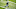 Parris Campbell, Colts Parris Campbell, Colts