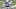Colts Colts