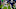 Colts, Mark Glowinski Colts, Mark Glowinski