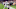Colts, Stephon Gilmore Colts, Stephon Gilmore
