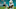 Jaylen Waddle, Colts Jaylen Waddle, Colts