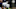 BALTIMORE, MD – JULY 27: A detailed view of Franklin batting gloves as the Tampa Bay Rays play the Baltimore Orioles at Oriole Park at Camden Yards on July 27, 2018 in Baltimore, Maryland. (Photo by Patrick Smith/Getty Images) BALTIMORE, MD – JULY 27: A detailed view of Franklin batting gloves as the Tampa Bay Rays play the Baltimore Orioles at Oriole Park at Camden Yards on July 27, 2018 in Baltimore, Maryland. (Photo by Patrick Smith/Getty Images)