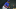 Blue Jays Blue Jays