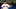 Blue Jays Blue Jays