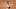 Blue Jays Blue Jays