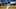 Blue Jays Blue Jays