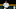 SEATTLE, WA – JUNE 14: Felix Hernandez #34 of the Seattle Mariners reacts after a pitch in the fifth inning against the Boston Red Sox at Safeco Field on June 14, 2018 in Seattle, Washington. (Photo by Lindsey Wasson/Getty Images)