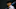 TOKYO, JAPAN – NOVEMBER 12: Shohei Ohtani TOKYO, JAPAN – NOVEMBER 12: Shohei Ohtani