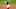WASHINGTON, DC – SEPTEMBER 22: Brock Holt #27 of the Washington Nationals throws the ball to first base against the Philadelphia Phillies during the second game of a doubleheader at Nationals Park on September 22, 2020 in Washington, DC. (Photo by G Fiume/Getty Images) WASHINGTON, DC – SEPTEMBER 22: Brock Holt #27 of the Washington Nationals throws the ball to first base against the Philadelphia Phillies during the second game of a doubleheader at Nationals Park on September 22, 2020 in Washington, DC. (Photo by G Fiume/Getty Images)