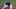Blue Jays Blue Jays
