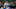 Blue Jays Blue Jays