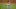 Blue Jays Blue Jays