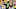 North Dakota State QB Trey Lance (Photo by Sam Wasson/Getty Images) North Dakota State QB Trey Lance (Photo by Sam Wasson/Getty Images)