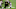 Cameron Jordan is a beast off the edge (Photo by Chris Graythen/Getty Images) Cameron Jordan is a beast off the edge (Photo by Chris Graythen/Getty Images)