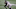 ATLANTA, GEORGIA – NOVEMBER 29: Calvin Ridley #18 of the Atlanta Falcons runs after a catch in front of Jeff Heath #38 of the Las Vegas Raiders during their NFL game at Mercedes-Benz Stadium on November 29, 2020, in Atlanta, Georgia. (Photo by Kevin C. Cox/Getty Images) ATLANTA, GEORGIA – NOVEMBER 29: Calvin Ridley #18 of the Atlanta Falcons runs after a catch in front of Jeff Heath #38 of the Las Vegas Raiders during their NFL game at Mercedes-Benz Stadium on November 29, 2020, in Atlanta, Georgia. (Photo by Kevin C. Cox/Getty Images)