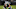 OAKLAND, CA – AUGUST 19: Cooper Kupp OAKLAND, CA – AUGUST 19: Cooper Kupp