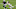 Raiders rookie wideout Henry Ruggs III will draw a tough matchup in Week 3 (Photo by Ethan Miller/Getty Images) Raiders rookie wideout Henry Ruggs III will draw a tough matchup in Week 3 (Photo by Ethan Miller/Getty Images)