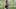 Carl Lawson. (Photo by Justin Casterline/Getty Images) Carl Lawson. (Photo by Justin Casterline/Getty Images)