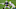 Running back Josh Jacobs. (Photo by Christian Petersen/Getty Images) Running back Josh Jacobs. (Photo by Christian Petersen/Getty Images)