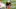 Shaka Toney. (Photo by Don Juan Moore/Getty Images) Shaka Toney. (Photo by Don Juan Moore/Getty Images)