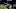 GREEN BAY, WISCONSIN – DECEMBER 25: Davante Adams #17 of the Green Bay Packers walks off the field after beating the Cleveland Browns 24-22 at Lambeau Field on December 25, 2021, in Green Bay, Wisconsin. (Photo by Stacy Revere/Getty Images) GREEN BAY, WISCONSIN – DECEMBER 25: Davante Adams #17 of the Green Bay Packers walks off the field after beating the Cleveland Browns 24-22 at Lambeau Field on December 25, 2021, in Green Bay, Wisconsin. (Photo by Stacy Revere/Getty Images)