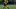 GREEN BAY, WISCONSIN – DECEMBER 25: Davante Adams #17 of the Green Bay Packers runs for yards after a catch during a game against the Cleveland Browns at Lambeau Field on December 25, 2021, in Green Bay, Wisconsin. The Packers defeated the Browns 24-22. (Photo by Stacy Revere/Getty Images) GREEN BAY, WISCONSIN – DECEMBER 25: Davante Adams #17 of the Green Bay Packers runs for yards after a catch during a game against the Cleveland Browns at Lambeau Field on December 25, 2021, in Green Bay, Wisconsin. The Packers defeated the Browns 24-22. (Photo by Stacy Revere/Getty Images)