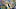 GREEN BAY, WISCONSIN – JANUARY 22: Quarterback Aaron Rodgers #12 of the Green Bay Packers looks skyward during the 4th quarter of the NFC Divisional Playoff game against the San Francisco 49ers at Lambeau Field on January 22, 2022, in Green Bay, Wisconsin. (Photo by Patrick McDermott/Getty Images) GREEN BAY, WISCONSIN – JANUARY 22: Quarterback Aaron Rodgers #12 of the Green Bay Packers looks skyward during the 4th quarter of the NFC Divisional Playoff game against the San Francisco 49ers at Lambeau Field on January 22, 2022, in Green Bay, Wisconsin. (Photo by Patrick McDermott/Getty Images)