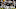 OAKLAND, CA – SEPTEMBER 30: Dwayne Harris #17 of the Oakland Raiders reacts after he had a long punt return against the Cleveland Browns at Oakland-Alameda County Coliseum on September 30, 2018 in Oakland, California. (Photo by Ezra Shaw/Getty Images) OAKLAND, CA – SEPTEMBER 30: Dwayne Harris #17 of the Oakland Raiders reacts after he had a long punt return against the Cleveland Browns at Oakland-Alameda County Coliseum on September 30, 2018 in Oakland, California. (Photo by Ezra Shaw/Getty Images)