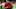 TAMPA, FLORIDA – NOVEMBER 22: Ndamukong Suh #93 of the Tampa Bay Buccaneers leaves the field after a win against the New York Giants at Raymond James Stadium on November 22, 2021, in Tampa, Florida. (Photo by Mike Ehrmann/Getty Images) TAMPA, FLORIDA – NOVEMBER 22: Ndamukong Suh #93 of the Tampa Bay Buccaneers leaves the field after a win against the New York Giants at Raymond James Stadium on November 22, 2021, in Tampa, Florida. (Photo by Mike Ehrmann/Getty Images)