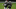 Raiders throttled Denver Raiders throttled Denver
