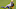 Anthony Harris Anthony Harris