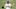 KC Royals