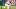 ARLINGTON, TX – AUGUST 12: Elvis Andrus ARLINGTON, TX – AUGUST 12: Elvis Andrus