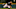 DENVER, CO – SEPTEMBER 5: Starting pitcher Tyler Chatwood DENVER, CO – SEPTEMBER 5: Starting pitcher Tyler Chatwood