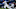 KC Royals, KC Royals,