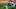KC Royals KC Royals