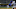 KC Royals, KC Royals,