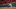 KC Royals KC Royals