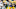 The Green Bay Packers offensive line was a solid unit in 2014. Raymond T. Rivard photograph The Green Bay Packers offensive line was a solid unit in 2014. Raymond T. Rivard photograph