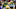 Bay Packers head coach Mike McCarthy must look at ways to keep the playing time for veterans to a minimum. Jeff Hanisch-USA TODAY Sports Bay Packers head coach Mike McCarthy must look at ways to keep the playing time for veterans to a minimum. Jeff Hanisch-USA TODAY Sports