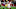 January 16, 2016; Glendale, AZ, USA; Green Bay Packers tackle January 16, 2016; Glendale, AZ, USA; Green Bay Packers tackle