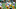 Jun 16, 2016; Green Bay, WI, USA; Green Bay Packers tackle Kyle Murphy (68) stretches during minicamp at Ray Nitschke Field. Mandatory Credit: Benny Sieu-USA TODAY Sports Jun 16, 2016; Green Bay, WI, USA; Green Bay Packers tackle Kyle Murphy (68) stretches during minicamp at Ray Nitschke Field. Mandatory Credit: Benny Sieu-USA TODAY Sports