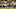 Oct 9, 2016; Green Bay, WI, USA; Green Bay Packers tight end Richard Rodgers (82) can Oct 9, 2016; Green Bay, WI, USA; Green Bay Packers tight end Richard Rodgers (82) can