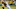 Nov 6, 2016; Green Bay, WI, USA; Green Bay Packers wide receiver Davante Adams (17) is tackled by Indianapolis Colts cornerback Vontae Davis (21) after a catch in the first quarter at Lambeau Field. Mandatory Credit: Benny Sieu-USA TODAY Sports Nov 6, 2016; Green Bay, WI, USA; Green Bay Packers wide receiver Davante Adams (17) is tackled by Indianapolis Colts cornerback Vontae Davis (21) after a catch in the first quarter at Lambeau Field. Mandatory Credit: Benny Sieu-USA TODAY Sports